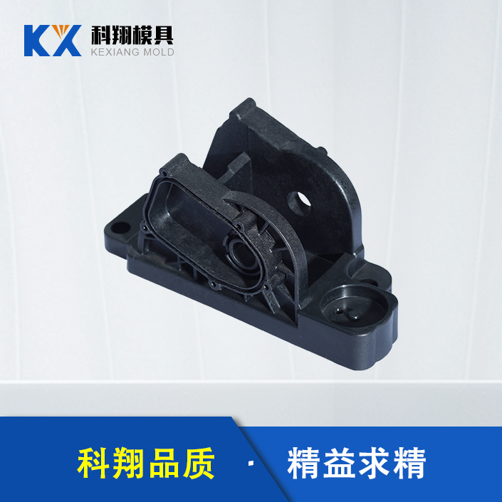 汽車油（yóu）門踏板注塑件